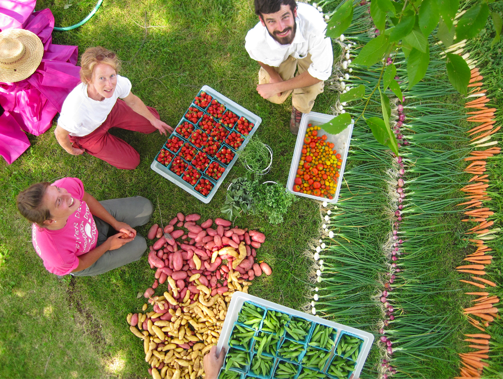 Veggies/Fruit/Herbs - fresh from Windflower Farm Bend